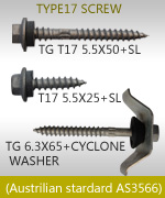 TYPE17 SCREW